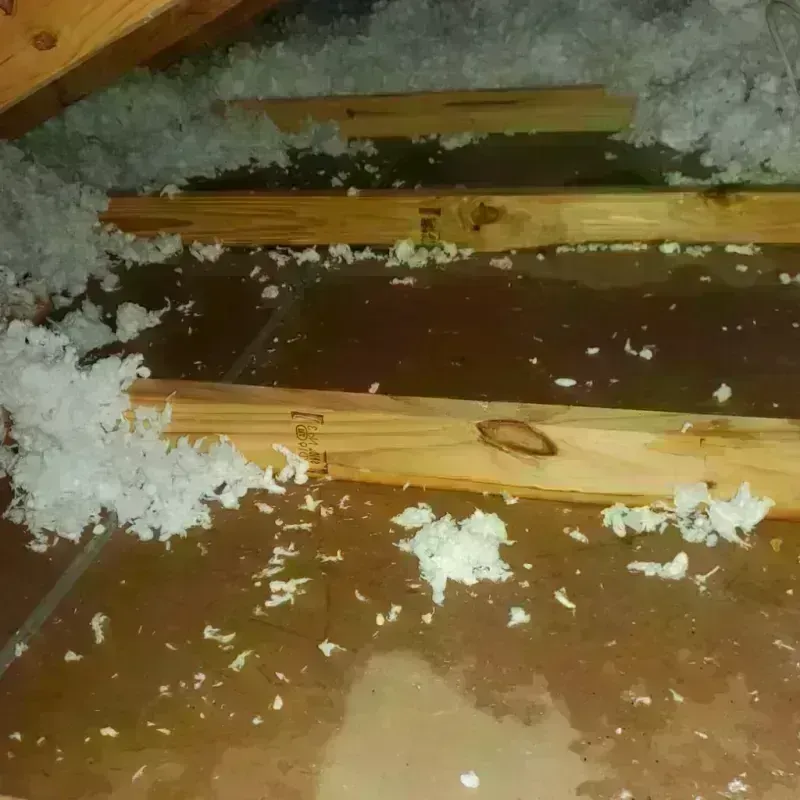 Attic Water Damage in Sumter County, GA