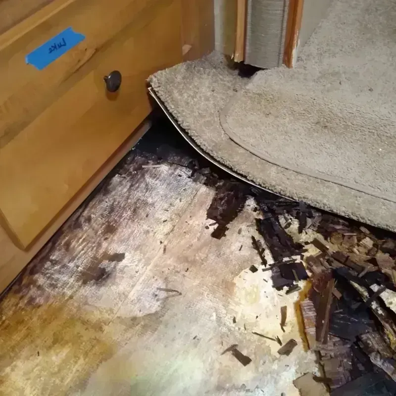 Wood Floor Water Damage in Sumter County, GA